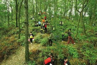 國務(wù)院關(guān)于開展全民義務(wù)植樹運(yùn)動的實(shí)施辦法