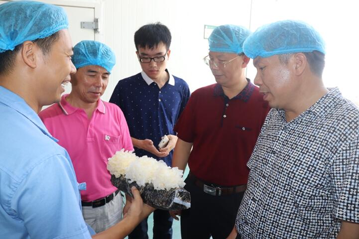 “湘軍故里,鋼鐵新城”我院助力婁底市開啟創新發展新篇章