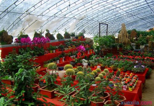 云南紅河國家農業(yè)科技園區(qū)