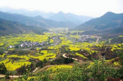 河南周口經(jīng)濟(jì)開(kāi)發(fā)區(qū)：砥礪奮進(jìn)譜寫(xiě)轉(zhuǎn)型高潮