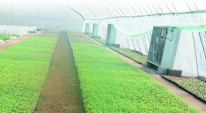 青島即墨國家農業(yè)科技園區(qū)