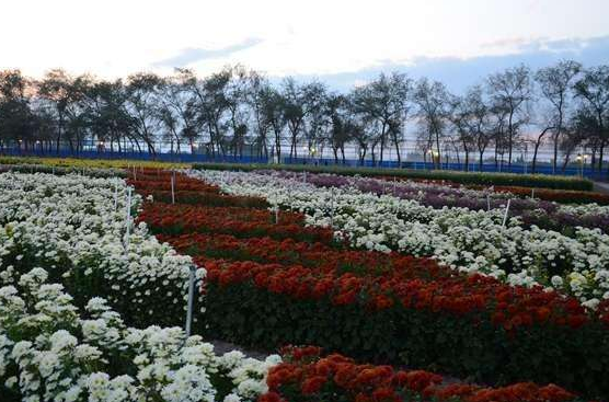 新疆昌吉國家農業(yè)科技園區(qū)