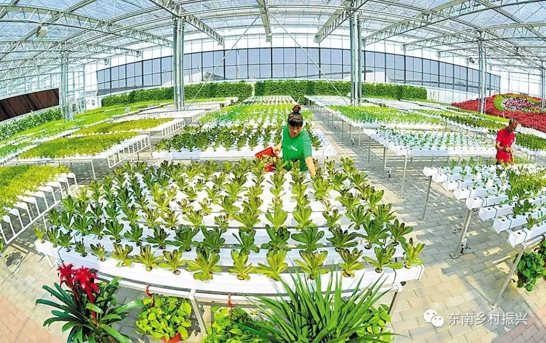 發(fā)改委點(diǎn)贊休閑農(nóng)業(yè):農(nóng)村一二三產(chǎn)融合發(fā)展報(bào)告出爐