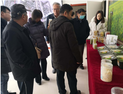 借力專家智慧，云州區蹄疾步穩邁向國家現代農業產業園