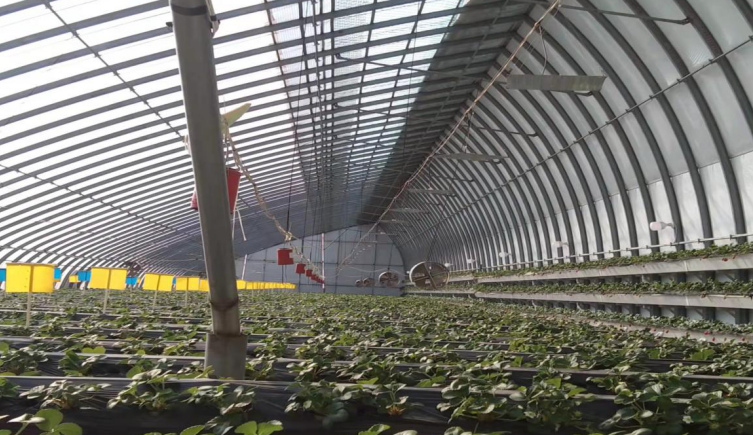 走特色高效農(nóng)業(yè)之路，晉中榆次區(qū)積極申報(bào)國(guó)家現(xiàn)代農(nóng)業(yè)產(chǎn)業(yè)園