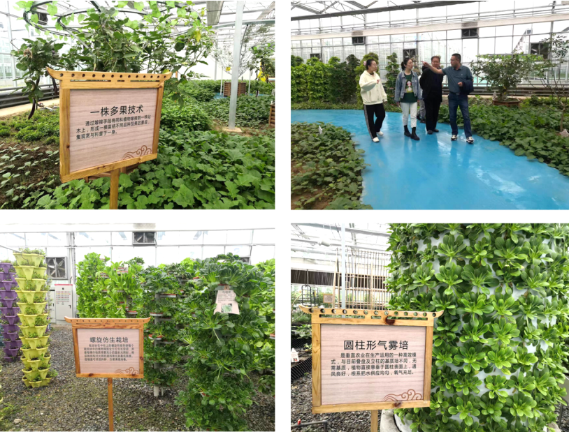 晉之源果蔬再啟航，曲沃開啟國家農業現代化示范區新征程