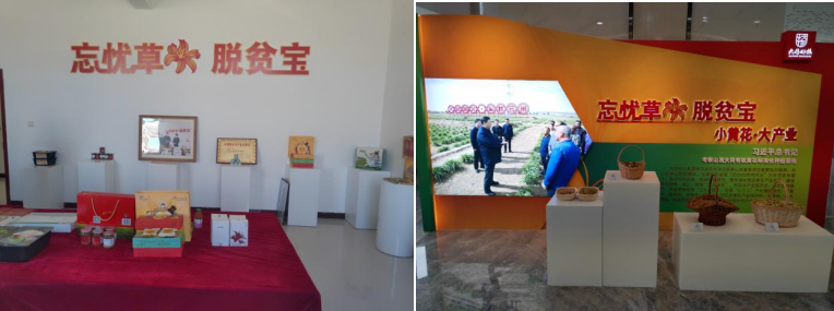 打造農業綠色發展典范，云州區創建國家農業綠色發展先行區勢在必行