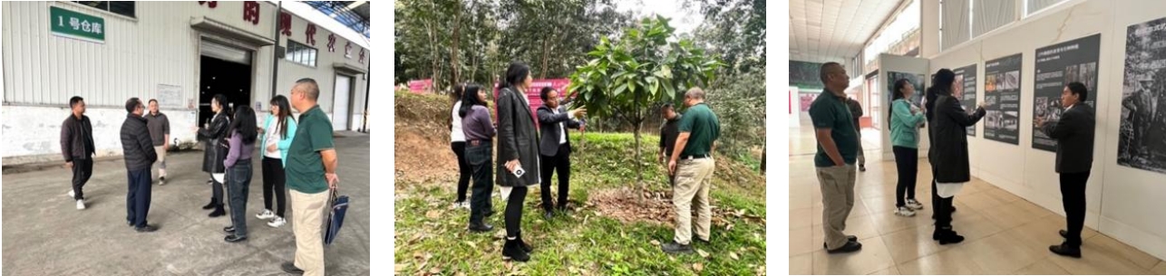 我院團隊走入“中國天然橡膠第一縣”，與勐臘共赴國家現代農業產業園建設之路